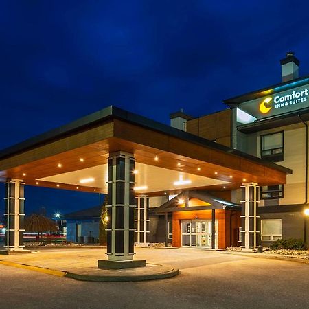 Comfort Inn & Suites Ingersoll Dış mekan fotoğraf