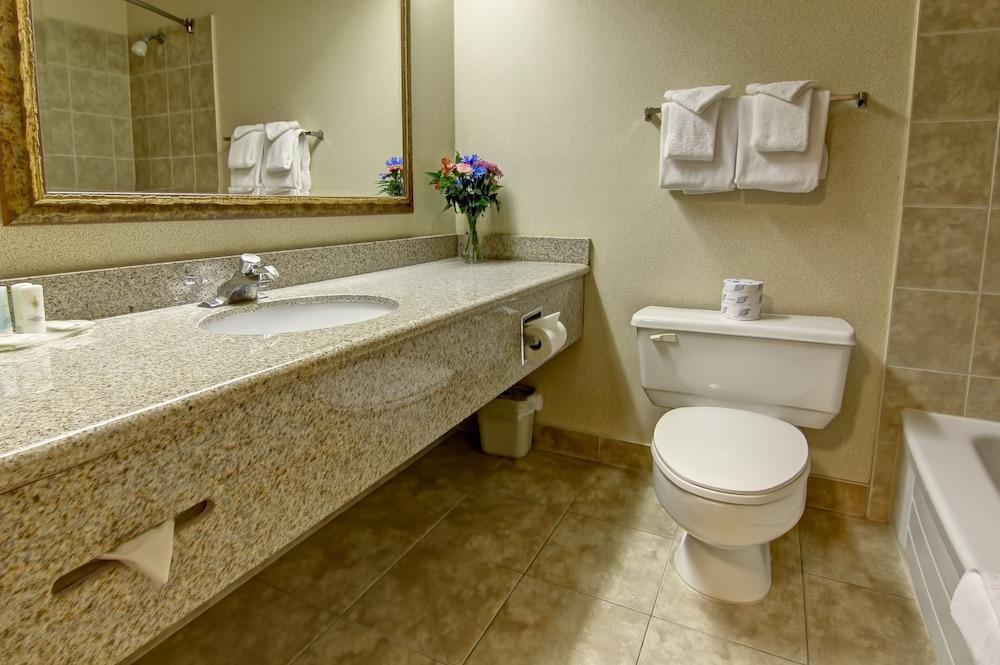 Comfort Inn & Suites Ingersoll Dış mekan fotoğraf