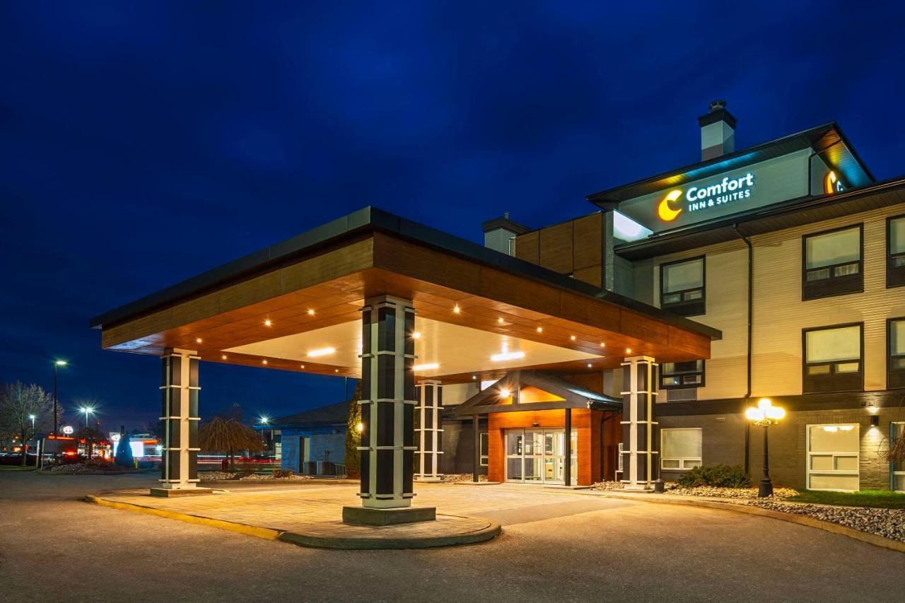 Comfort Inn & Suites Ingersoll Dış mekan fotoğraf